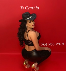 Ts_cynthia